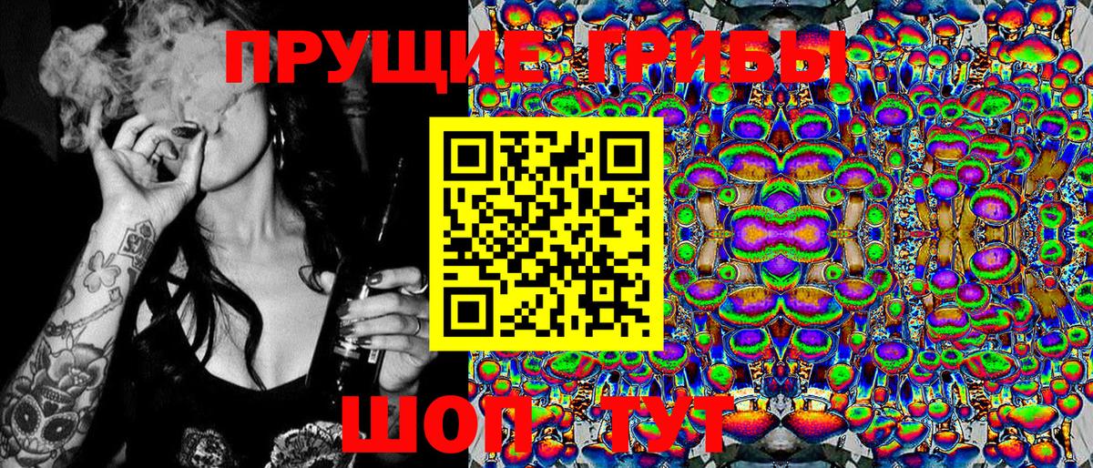 Псилоцибиновые грибы Psilocybe Губкин